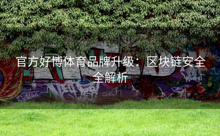 官方好博体育品牌升级:区块链安全全解析 官方好博体育品牌升级:区块链安全全解析