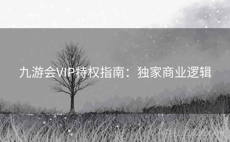 九游会VIP特权指南:独家商业逻辑 九游会VIP特权指南:独家商业逻辑