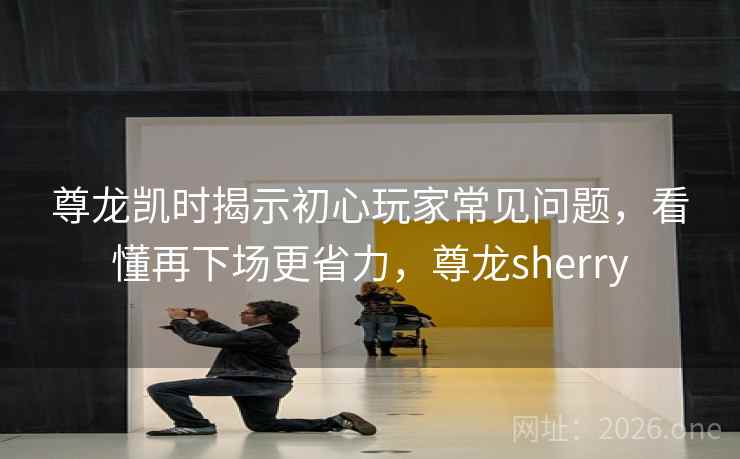 尊龙凯时揭示初心玩家常见问题,看懂再下场更省力,尊龙sherry 尊龙凯时揭示初心玩家常见问题,看懂再下场更省力,尊龙sherry