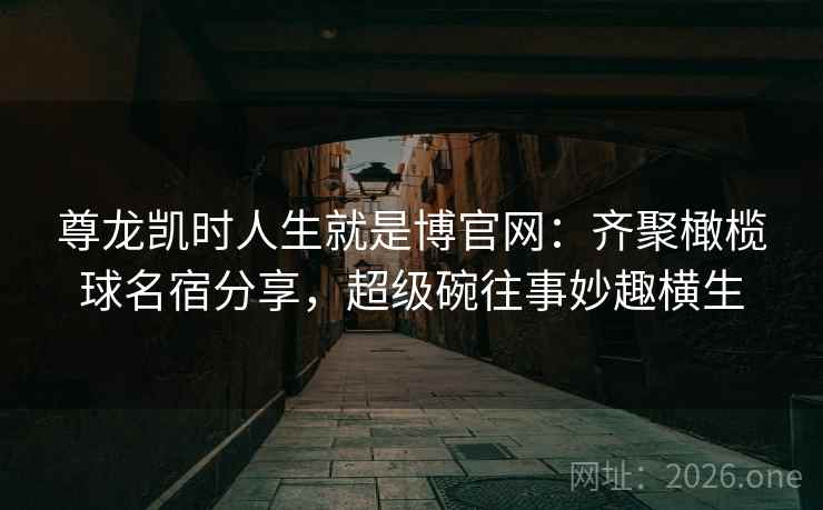 尊龙凯时人生就是博官网：齐聚橄榄球名宿分享，超级碗往事妙趣横生