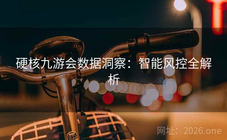 硬核九游会数据洞察:智能风控全解析 硬核九游会数据洞察:智能风控全解析