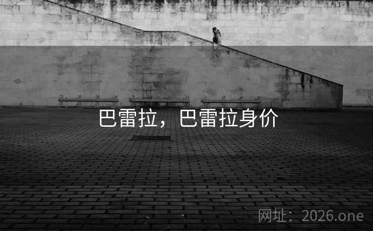 巴雷拉，巴雷拉身价