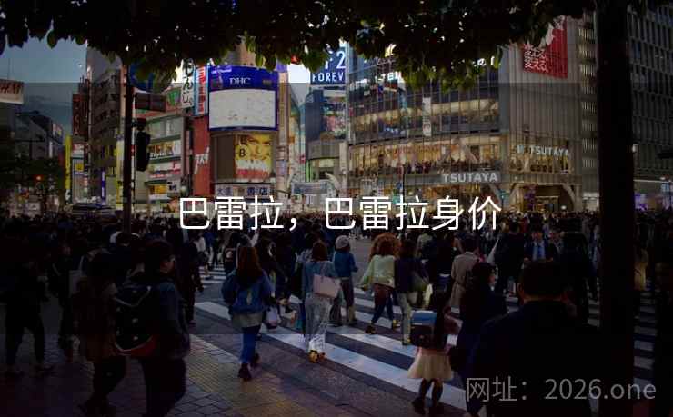 巴雷拉，巴雷拉身价