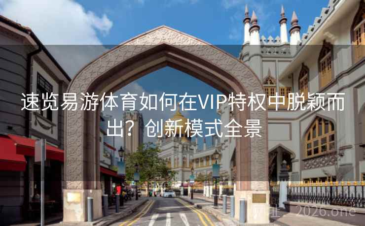 速览易游体育如何在VIP特权中脱颖而出？创新模式全景