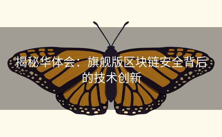 揭秘华体会：旗舰版区块链安全背后的技术创新