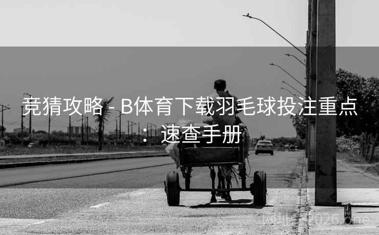 竞猜攻略 - B体育下载羽毛球投注重点：速查手册