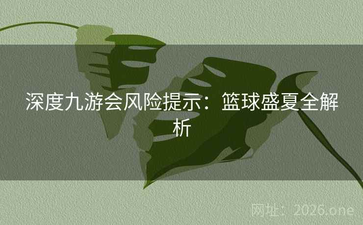 深度九游会风险提示:篮球盛夏全解析 深度九游会风险提示:篮球盛夏全解析