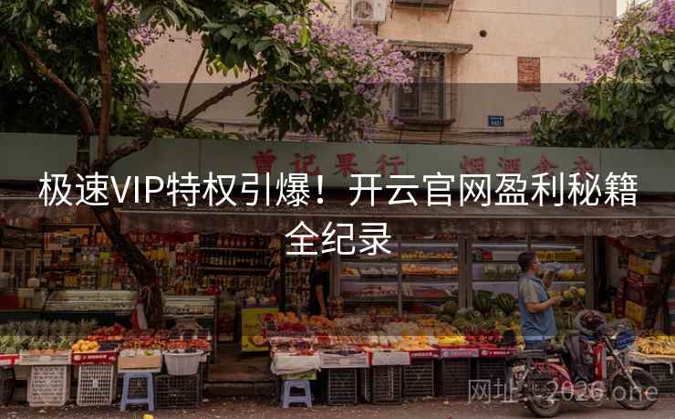 极速VIP特权引爆！开云官网盈利秘籍全纪录