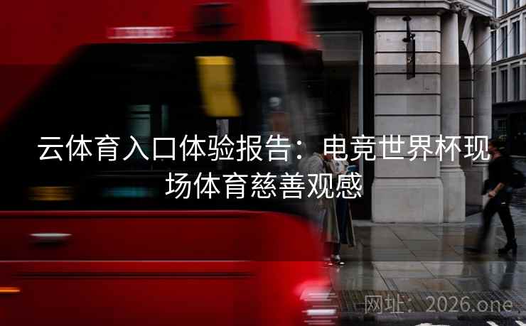 云体育入口体验报告：电竞世界杯现场体育慈善观感