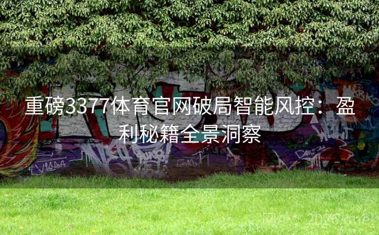 重磅3377体育官网破局智能风控:盈利秘籍全景洞察 重磅3377体育官网破局智能风控:盈利秘籍全景洞察