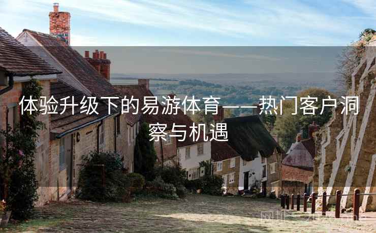 体验升级下的易游体育——热门客户洞察与机遇 体验升级下的易游体育——热门客户洞察与机遇