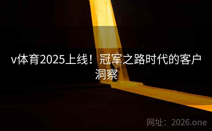 v体育2025上线!冠军之路时代的客户洞察 v体育2025上线!冠军之路时代的客户洞察