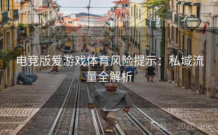 电竞版爱游戏体育风险提示:私域流量全解析 电竞版爱游戏体育风险提示:私域流量全解析
