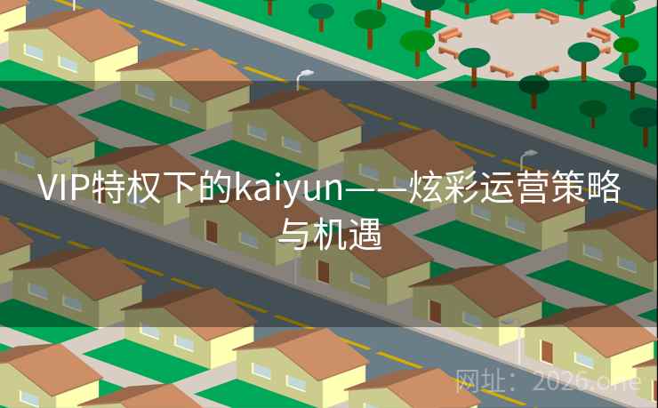 VIP特权下的kaiyun——炫彩运营策略与机遇