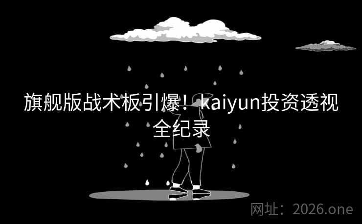 旗舰版战术板引爆！kaiyun投资透视全纪录